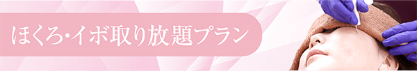 ほくろ・イボ取り放題プラン