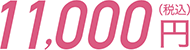 11,000円（税込）
