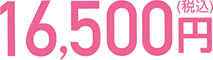 16,500円（税込）