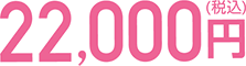 22,000円（税込）