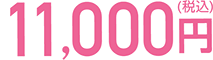 11,000円（税込）