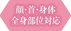 顔・首・身体 全身部位対応