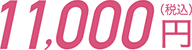 11,000円（税込）