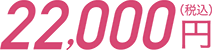 22,000円（税込）