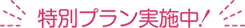 特別プラン実施中